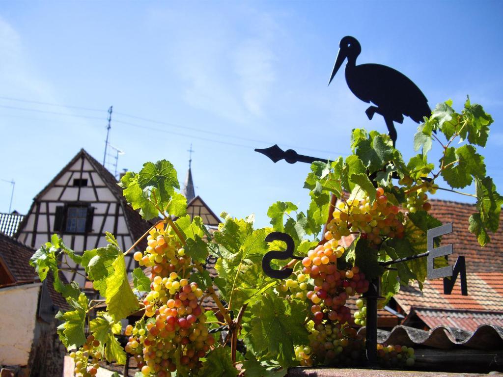 B&B Le Clos Des Raisins Beblenheim Luaran gambar