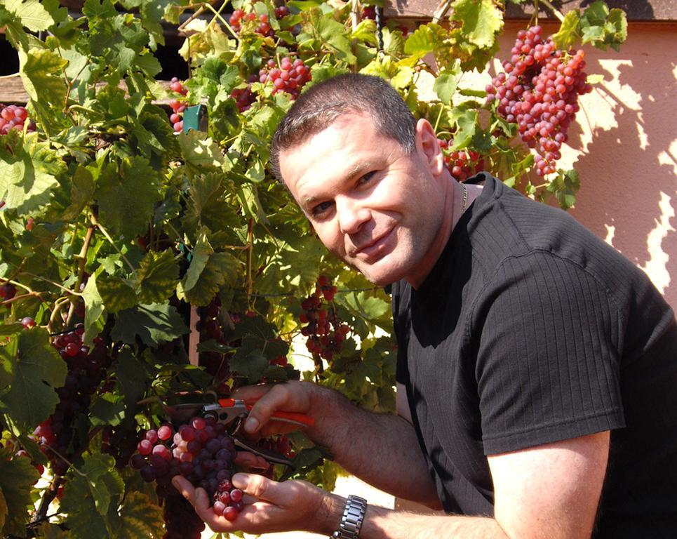 B&B Le Clos Des Raisins Beblenheim Luaran gambar
